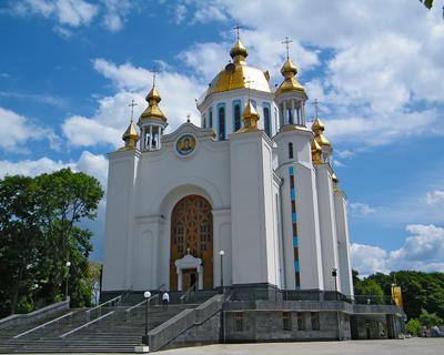 Святкова літургія та урочистості до Дня захисника України — на Суспільному